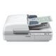 Epson WorkForce DS-6500 - scanner de documents - modèle bureau - USB 2.0