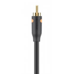 Belkin Cable Coax Digital Audio Rca M/M 5M - 1