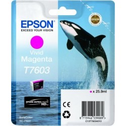 Epson T7603 cartouche d'encre magenta vif - 1