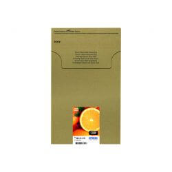 Epson Multipack 33 - pack de 5 - noir, jaune, cyan, magenta, photo noire cartouche d'encre d'origine
